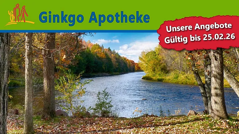 Angebote